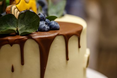 Çikolata kaplı pasta, yaban mersini ve yeşil yapraklı makro şenlikli tatlı fotoğrafı.