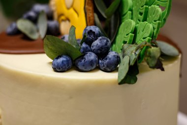 Çikolata kaplı pasta, yaban mersini ve yeşil yapraklı makro şenlikli tatlı fotoğrafı.