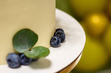 Çikolata kaplı pasta, yaban mersini ve yeşil yapraklı makro şenlikli tatlı fotoğrafı.
