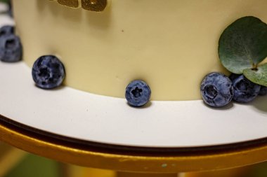 Çikolata kaplı pasta, yaban mersini ve yeşil yapraklı makro şenlikli tatlı fotoğrafı.