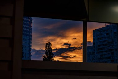 Harkiv 'de günbatımı. Şehir manzarası. Portakal Gökyüzü. Pencereden bak. Ağaç Silueti. Akşam bulutları. Ukrayna Şehri. Harkiv Binaları. Atmosferik Gökyüzü.