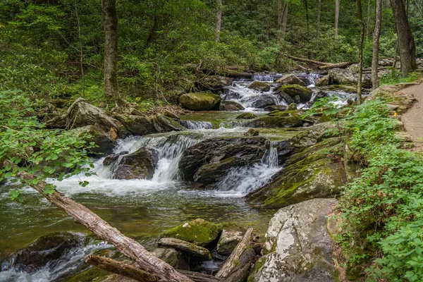 Vatten Rinner Över Klippor Och Träd Vid Anna Ruby Falls — Stockfoto