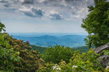 Kuzey Carolina 'da ufuk ve ağaç kaplı tepelerin manzarası