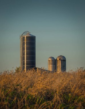 Gün batımı Luray Virginia 'da bir çiftliğe düşer.