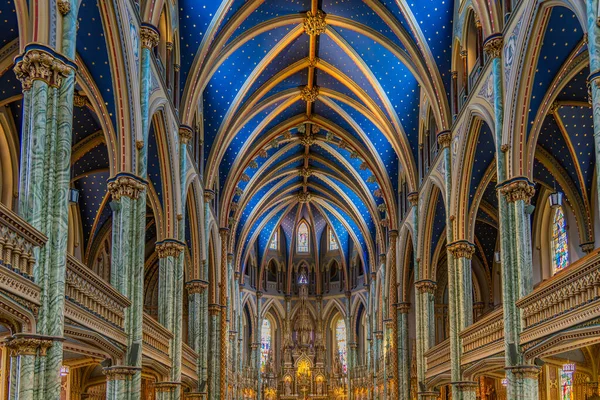 Vista Interior Catedral Notre Dame Ottawa Canadá — Fotografia de Stock