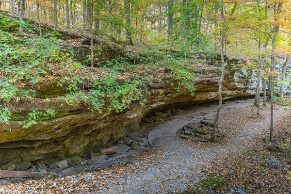 Carbondale yakınlarındaki Giant City State Park 'ta yeşil yaprakları ve dalları olan büyük bir kaya çıkıntısı..