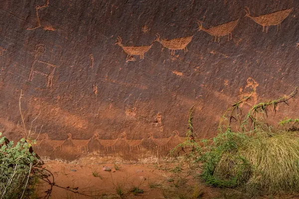 Arizona 'daki Colorado Nehri yakınlarında hayvan taşları tasvir eden antik yazıtlar.