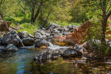 Sedona AZ 'deki Oak Creek' te su taşması..