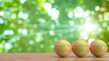 Environmental, social, and corporate governance (ESG) is a strategic framework for identifying, assessing, and addressing organizational objectives and activities ranging from the company's carbon footprint and commitment to sustainability