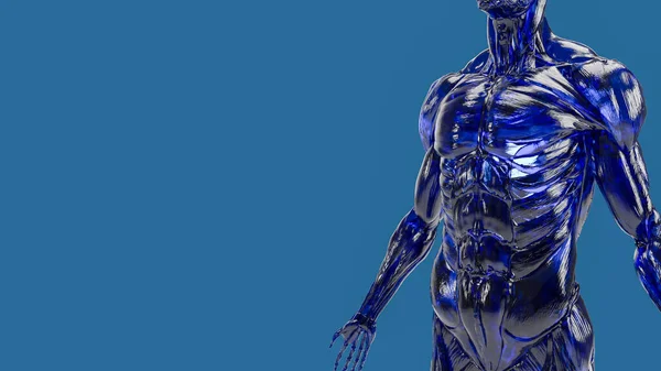 human body muscle on blue background for education or sci concept 3d rendering