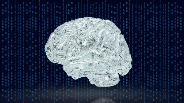 brain on digital  background for creative or idea concept 3d rendering