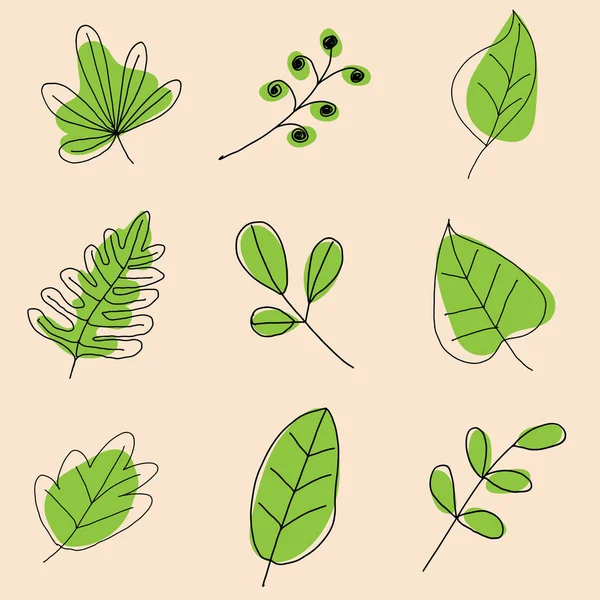 スパやカフェのための葉のアートの図面自然コンセプトベクトルイメージ — ストックベクタ