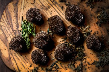 Mantar mantarlarının koyu, tokmak gibi bir dış görünüşü ve yumuşak, hoş kokulu bir iç yapısı vardır. Meşe ve fındık gibi bazı ağaçların kökleri ile simbiyotik olarak büyürler ve genellikle özel eğitimli köpek veya domuzlar kullanılarak hasat edilirler.