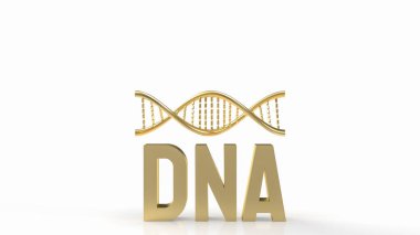 DNA, hücrelerin çekirdeğinde bulunan kromozom adı verilen yapılara ayrılır. İnsanların 23 çift kromozomu vardır.