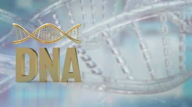DNA, hücrelerin çekirdeğinde bulunan kromozom adı verilen yapılara ayrılır. İnsanların 23 çift kromozomu vardır.