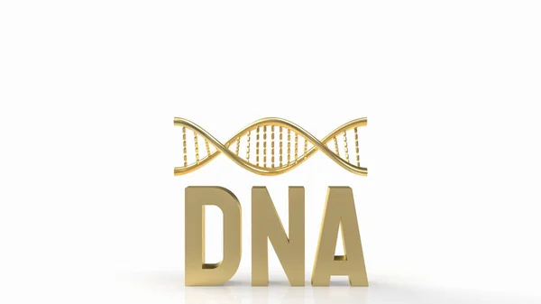 DNA is organized into structures called chromosomes, which are located in the nucleus of cells. Humans have 23 pairs of chromosomes