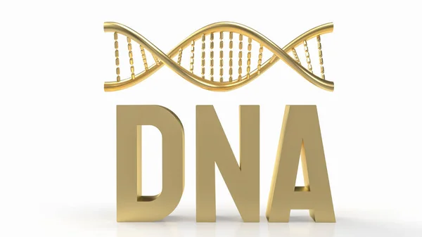 Dna Organizzato Strutture Chiamate Cromosomi Che Trovano Nel Nucleo Delle — Foto Stock