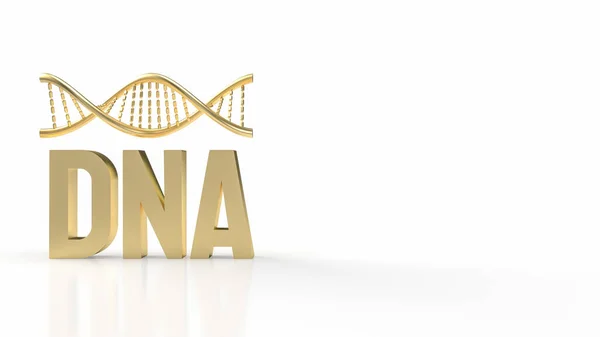 stock image DNA is organized into structures called chromosomes, which are located in the nucleus of cells. Humans have 23 pairs of chromosomes