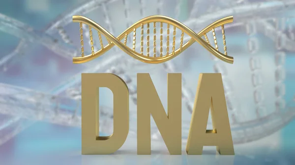 Dna Organizzato Strutture Chiamate Cromosomi Che Trovano Nel Nucleo Delle — Foto Stock