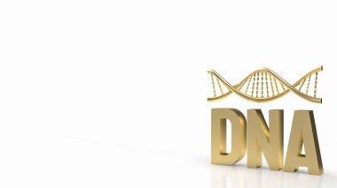 DNA, hücrelerin çekirdeğinde bulunan kromozom adı verilen yapılara ayrılır. İnsanların 23 çift kromozomu vardır.