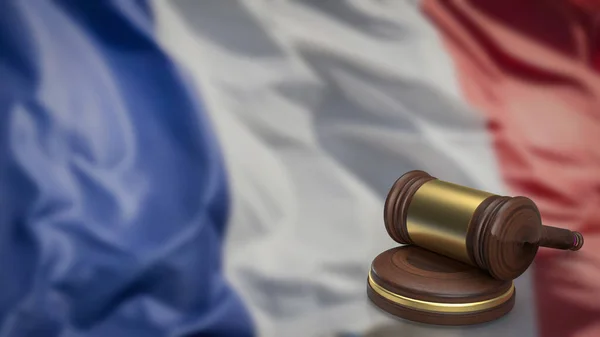 Закон Франції Стосується Правової Системи Законів Діють Французькій Республіці — стокове фото