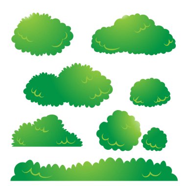 Çimen, Poaceae familyasına ait yaygın bir bitki türüdür. Dünya çapında çeşitli habitatlarda yaygın olarak bulunur ve bu da onu dünyanın en bol bitki türlerinden biri yapar.. 