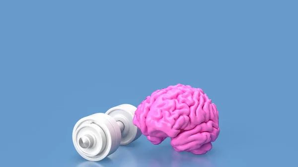 Výcvik Mozku Také Známý Jako Kognitivní Trénink Nebo Cvičení Mozku — Stock fotografie