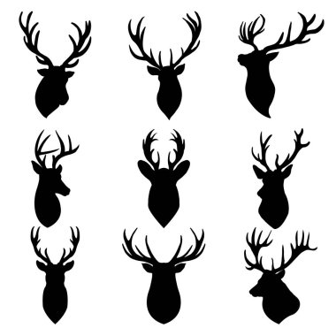 Geyikler, Cervidae familyasına ait zarif ve zarif bir memeli topluluğudur. Dünyanın çeşitli bölgelerine dağılmış durumdalar. 