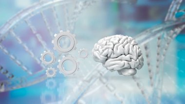 Beyin, insanlarda da dahil olmak üzere çoğu hayvandaki sinir sisteminin kontrol merkezi olarak hizmet veren karmaşık ve gerekli bir organdır. Bilgi işlemede kritik bir rol oynar.