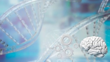 Beyin, insanlarda da dahil olmak üzere çoğu hayvandaki sinir sisteminin kontrol merkezi olarak hizmet veren karmaşık ve gerekli bir organdır. Bilgi işlemede kritik bir rol oynar.