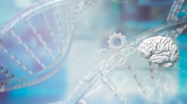 Beyin, insanlarda da dahil olmak üzere çoğu hayvandaki sinir sisteminin kontrol merkezi olarak hizmet veren karmaşık ve gerekli bir organdır. Bilgi işlemede kritik bir rol oynar.