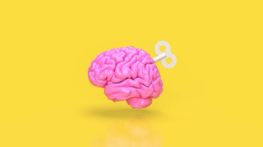 Beyin, insanlarda ve birçok hayvandaki sinir sisteminin komuta merkezi olarak hizmet veren son derece karmaşık ve karmaşık bir organdır. Çok çeşitli işlevlerden sorumludur.