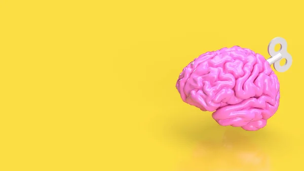 Cerveau Est Organe Très Complexe Complexe Qui Sert Centre Commande — Photo