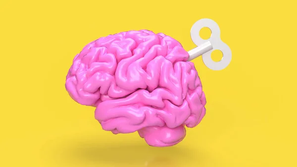 Мозок Дуже Складним Заплутаним Органом Який Служить Командним Центром Нервової — стокове фото