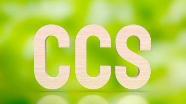 Karbon Yakalama ve Depolama: CCS, endüstriyel süreçler ve güç üreticilerinden elde edilen karbondioksit (CO2) emisyonlarını azaltmayı amaçlayan bir teknolojidir.