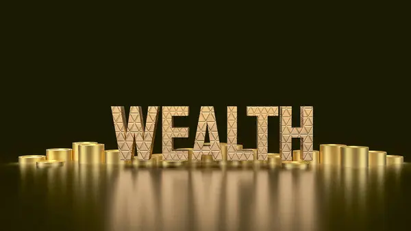 Bohatství Termín Který Zahrnuje Širokou Škálu Materiálních Finančních Nefinančních Aktiv — Stock fotografie
