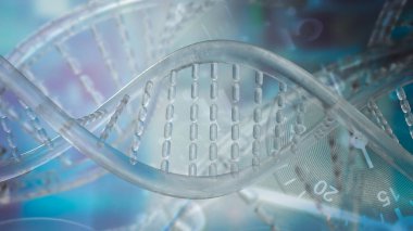 Deoksiribonükleik asit anlamına gelen DNA, bilinen tüm canlı organizmaların gelişimi, işlemesi, büyümesi ve üremesi için genetik talimatlar içeren bir moleküldür.. 