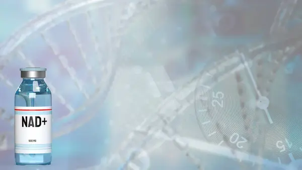 Nikotinamit dinükleotid (NAD +), özellikle enerji metabolizmasında yer alanlar olmak üzere çeşitli biyolojik süreçlerde önemli rol oynayan hücrelerde bulunan bir koenzimdir..