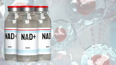 Nikotinamit dinükleotid (NAD +), özellikle enerji metabolizmasında yer alanlar olmak üzere çeşitli biyolojik süreçlerde önemli rol oynayan hücrelerde bulunan bir koenzimdir..