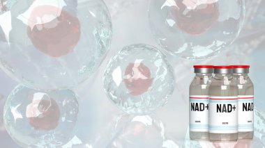 Nikotinamit dinükleotid (NAD +), özellikle enerji metabolizmasında yer alanlar olmak üzere çeşitli biyolojik süreçlerde önemli rol oynayan hücrelerde bulunan bir koenzimdir..