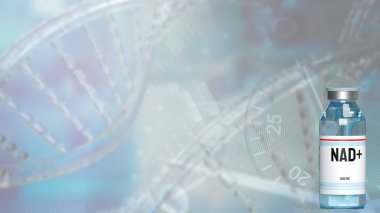 Nikotinamit dinükleotid (NAD +), özellikle enerji metabolizmasında yer alanlar olmak üzere çeşitli biyolojik süreçlerde önemli rol oynayan hücrelerde bulunan bir koenzimdir..