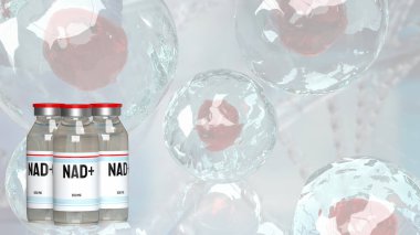 Nikotinamit dinükleotid (NAD +), özellikle enerji metabolizmasında yer alanlar olmak üzere çeşitli biyolojik süreçlerde önemli rol oynayan hücrelerde bulunan bir koenzimdir..