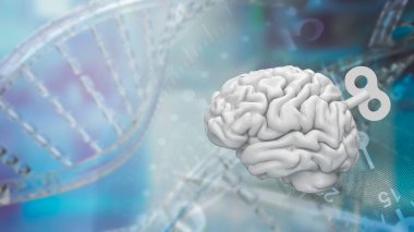 Beyin, sinir sistemi için komuta merkezi görevi gören ve çeşitli fizyolojik ve bilişsel fonksiyonları kontrol eden insan vücudunda karmaşık ve hayati bir organdır.. 