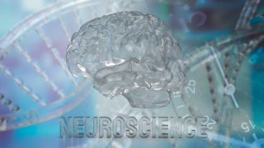 Nörobilim, sinir sisteminin bilimsel keşfine odaklanan, beyin, omurilik ve çevresel sinirleri kapsayan çok disiplinli bir çalışma alanıdır.. 