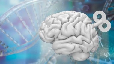 Beyin, sinir sistemi için komuta merkezi görevi gören ve çeşitli fizyolojik ve bilişsel fonksiyonları kontrol eden insan vücudunda karmaşık ve hayati bir organdır.. 