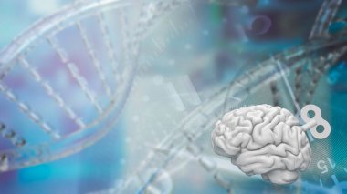 Beyin, sinir sistemi için komuta merkezi görevi gören ve çeşitli fizyolojik ve bilişsel fonksiyonları kontrol eden insan vücudunda karmaşık ve hayati bir organdır.. 