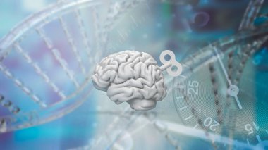 Beyin, sinir sistemi için komuta merkezi görevi gören ve çeşitli fizyolojik ve bilişsel fonksiyonları kontrol eden insan vücudunda karmaşık ve hayati bir organdır.. 