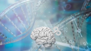 Beyin, sinir sistemi için komuta merkezi görevi gören ve çeşitli fizyolojik ve bilişsel fonksiyonları kontrol eden insan vücudunda karmaşık ve hayati bir organdır.. 