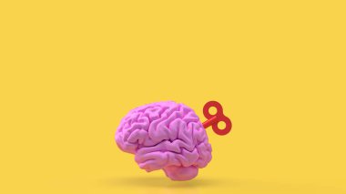 Beyin, sinir sistemi için komuta merkezi görevi gören ve çeşitli fizyolojik ve bilişsel fonksiyonları kontrol eden insan vücudunda karmaşık ve hayati bir organdır.. 