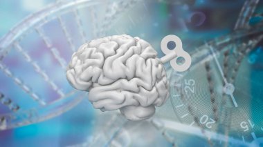 Beyin, sinir sistemi için komuta merkezi görevi gören ve çeşitli fizyolojik ve bilişsel fonksiyonları kontrol eden insan vücudunda karmaşık ve hayati bir organdır.. 